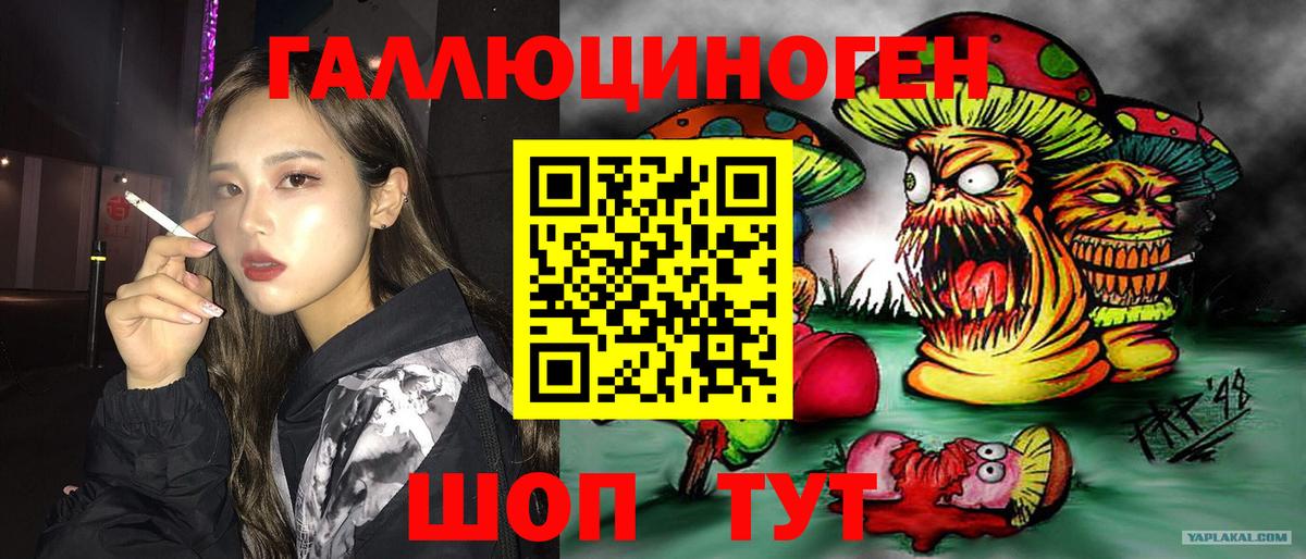 Псилоцибиновые грибы прущие грибы  Вход с VPN  Галлюциногенные грибы ЛСД  Среднеуральск 